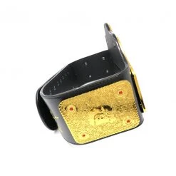 Hogan's Beach Shop Hollywood Hogan Signed WCW NWO Championship Title Belt Replica