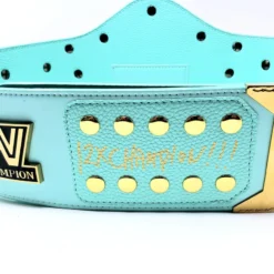 Hogan's Beach Shop WWE Replica Signed Blue Winged Eagle Championship Title Belt