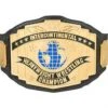 Hogan's Beach Shop AUTOGRAPHED TITLE BELTS WWE Black Intercontinental Championship Replica Title Belt