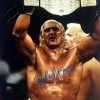 Hogan's Beach Shop Hulk Hogan Signed Heavyweight Championship Poster