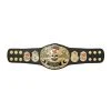 Hogan's Beach Shop MINI BELTS WWE Smoking Skull Championship Mini Replica Title Belt