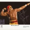Hogan's Beach Shop Hulk Hogan Signed WWE Bow & Arrow 8x10 Photo