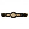 Hogan's Beach Shop BELTS WWE Winged Eagle Championship Mini Replica Title Belt