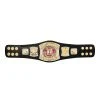 Hogan's Beach Shop MINI BELTS WWE Edge Spinner Championship Mini Replica Title Belt