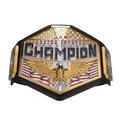 Hogan's Beach Shop WWE United States Championship Replica Title (2020)